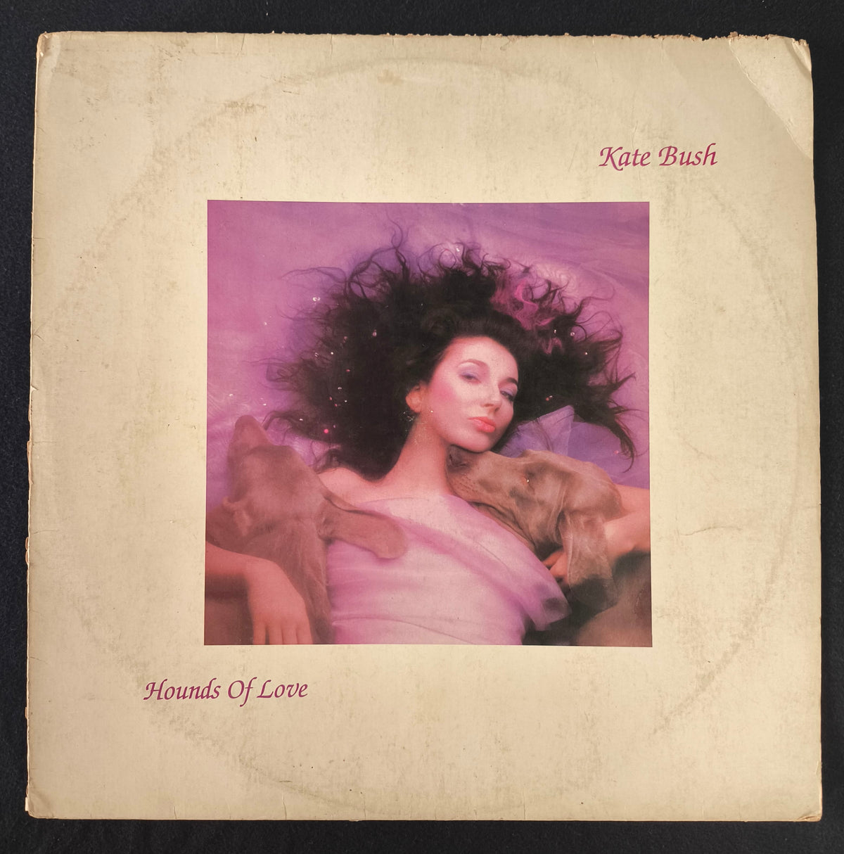 HOUNDS OF LOVE